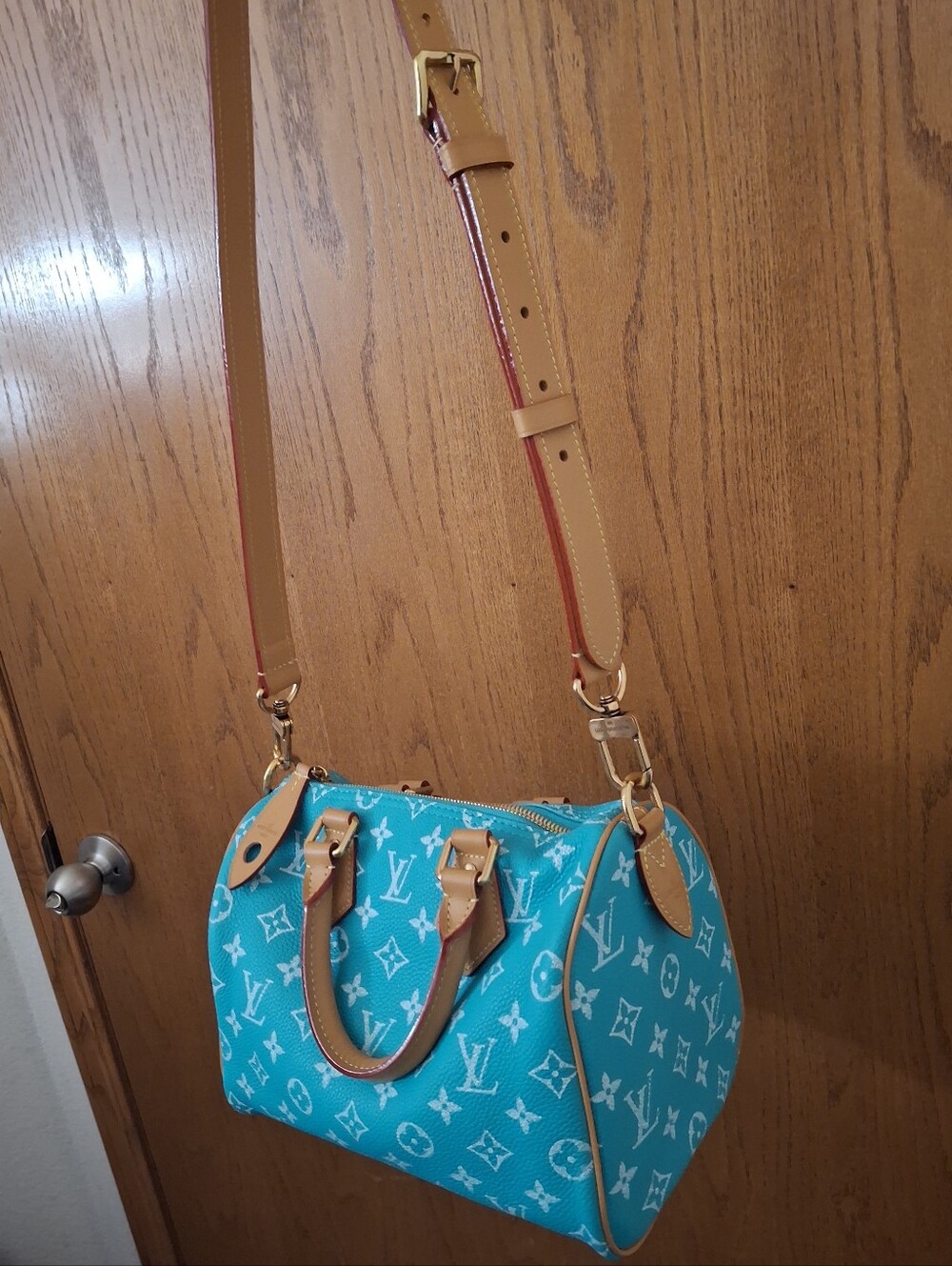 Turquoise Monogram Speedy 25 Luxury Handbag - Picture 13 of 15